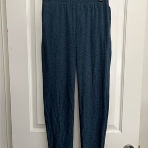 Old Navy Active Blue Joggers- EUC (xl)